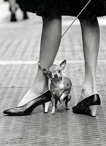 41ta3-obmrL._AC_SL1500_