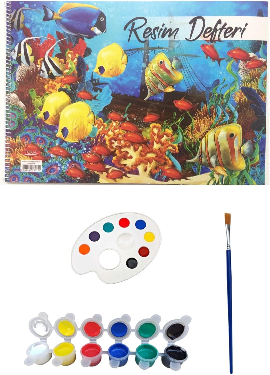 DSH Doğal Seramik Hamuru Resim Başlangıç Seti, Resim Seti, Palet, 6'lı Akrilik Boya, Fırça