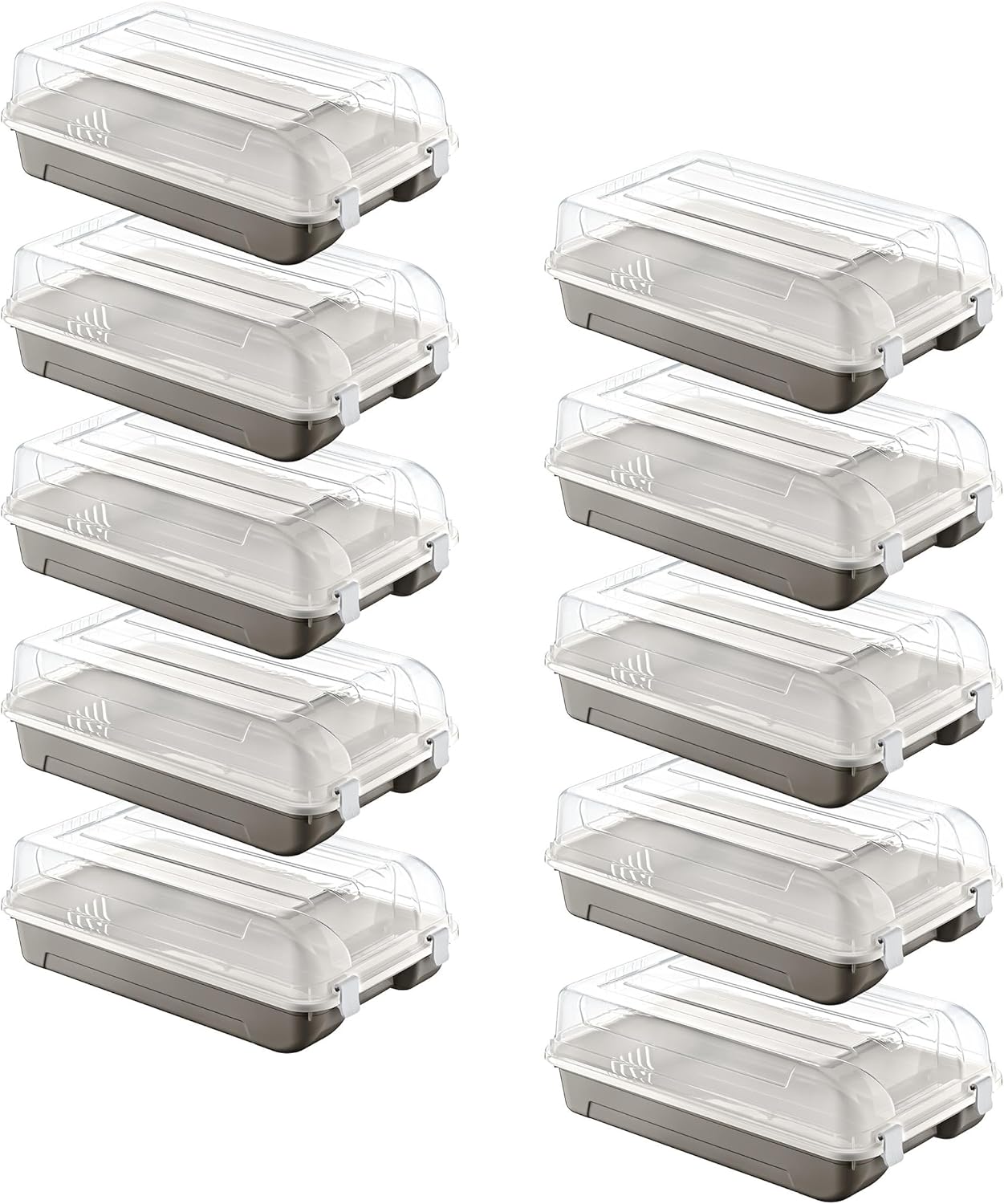 10'Lu Set Kadın Terra Ayakkabı Kutusu