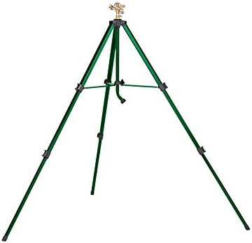 31PPSAtVOLL._AC_SL1500_