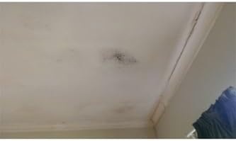 Flora Nem Alıcı Yedek 450 Gr 6 Adet