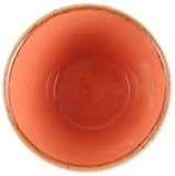 04ALM001439 Seasons Çorba Kasesi, Porselen 2li paket