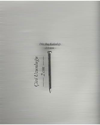 filografi Filografi Çivisi Nikel Renk Düz Baş 500 Gram