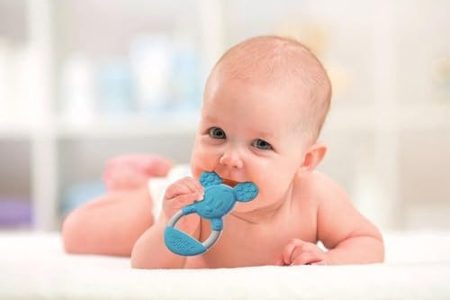 Clementoni 17343 Disney Mickey Bebek Teether, 0 aylık ve daha eski için uygundur, makinede yıkanabilir ve cilasızdır, çok renkli, tek beden herkese uyar