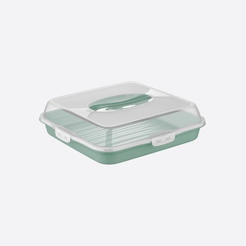 Kek Taşıma Kabı, BPA İçermeyen Plastik, Saplı ve Kilitli Kek Fanusu, Taşınabilir ve Güvenli Saklama Çözümü (Kare)