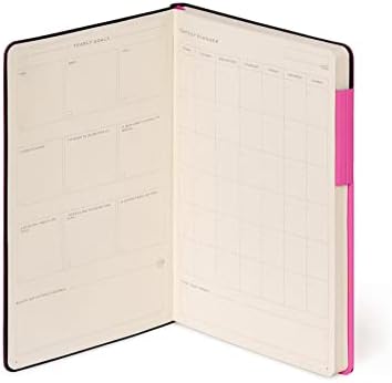 YS Medium Çizgili Begonvil