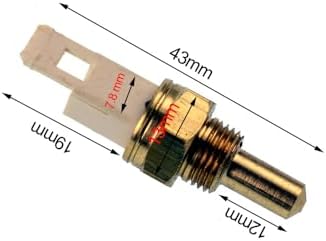 31bpbn6pxGL._AC_SL1500_