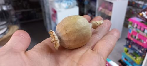 - Sapsız Küçük Kafalı Kuru Çiçek Yapay Çiçek Haşhaş Kozası 5 Adet