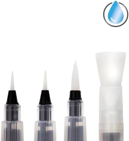 Basma düğmesi sulu boya fırçası çeşitli set