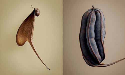 The Hidden Beauty of Seeds & Fruits: The Photography of Levon Biss