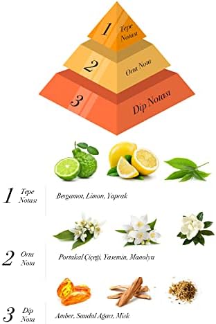 Alya Egzotic Leaves Bambu Çubuklu Oda Kokusu 100 ml