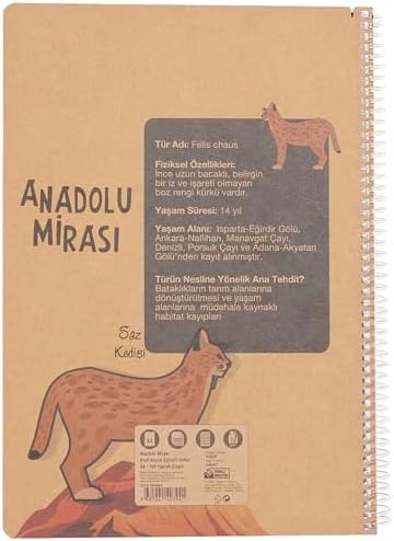 Mirası Spiralli Defter, A4, 100 Yaprak, 70g Kağıt, Çizgili, 500 Mikron PP Kapak, PET Spiralli, Asorti Renkler, Dayanıklı ve Ergonomik Kullanım