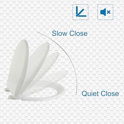 41BL56IBqBL._AC_SL1500_