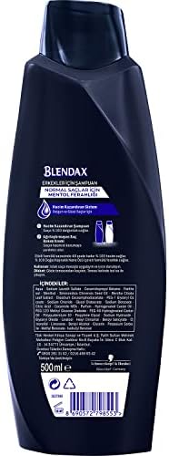 BLENDAX Erkekler için Mentol Ferahlığı Nane Özlü Şampuan, 500 ml