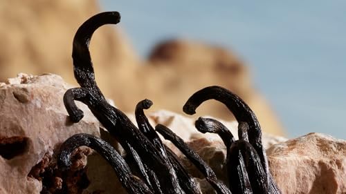 Dolce Gabbana Q Parfüm 50 Ml