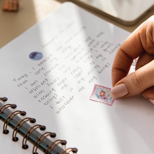 41QqFebALAL._AC_SL1500_