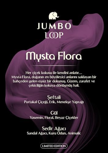 Jumbo Loop Mysta Flora Çubuklu Oda Kokusu, Mat Gül Kurusu Şişe