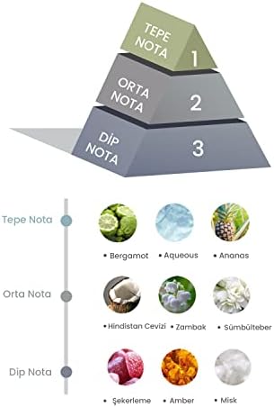 Prova Bambu Çubuklu Oda Kokusu Coco Sun 100 ml