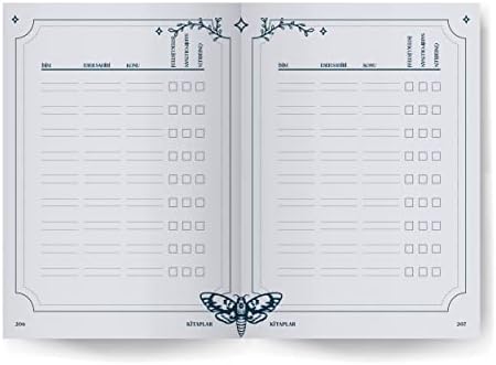 Kitap Modern Witch Tarot Journal