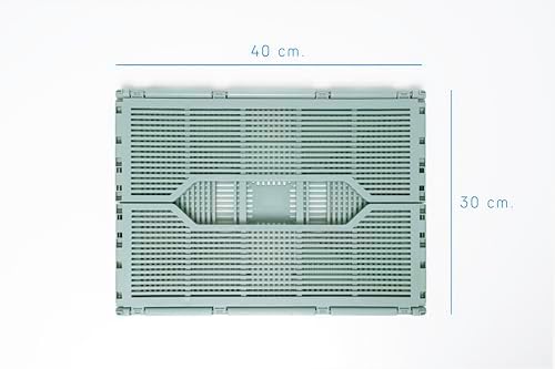1L+2M Katlanabilir Çok Amaçlı Taşıma Kasaları Saklama Kutusu, Plastik İstiflenebilir, Yatak Odası Ofis Banyo Tuvalet Malzemeleri Kozmetik için (AÇIK YEŞİL)