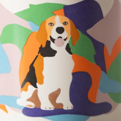 .concept Kupa 350 Mililitre