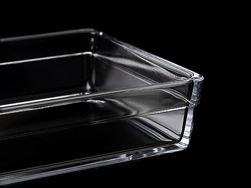 Borcam Premium Dikdörtgen Tepsi, 20 cm x 29 cm, Şeffaf, 2.5 Litre