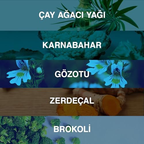 51-L-7Mob3L._AC_SL1500_