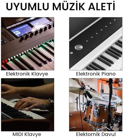 51GwPNDPUyL._AC_SL1500_