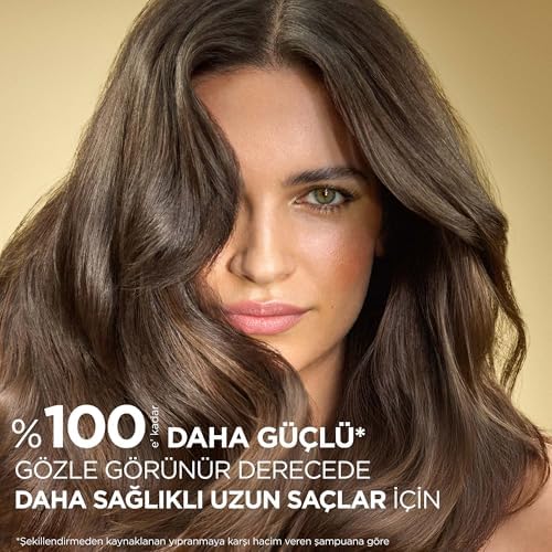 PANTENE Onarıcı & Koruyucu 3'ü 1 Arada Şampuan 400 ml