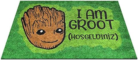 51X3Zk-nZZL._AC_SL1500_