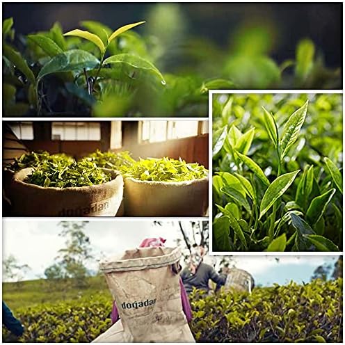 Dogadan Gizli Bahçe 100 Lük Ft Bardak Poşet