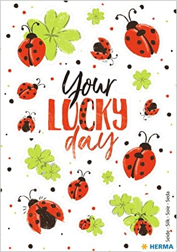 51d47lIgwxL._AC_SL1500_