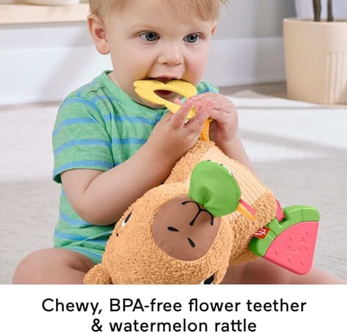 3 ay ve üzeri bebekler için Yumuşacık Obur Kapi duyusal gelişim oyuncağı, yenidoğanlar için dişlik ve çıngırak, HYR54