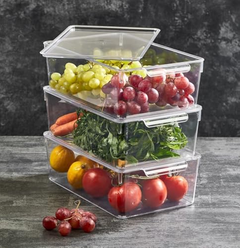 1 Adet Kırılmaz Şefaf Akrilik Kapaklı Buzdolabı Organizeri | Buzdolabı İçi Düzenleyici | Sebze Meyve Saklama Kabı Organizeri (20cm x 32,5cm x10,5cm) X Large Boy