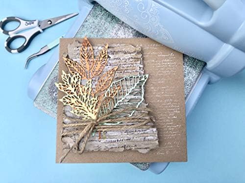 Thinlits baskı şablonu Funky Foliage