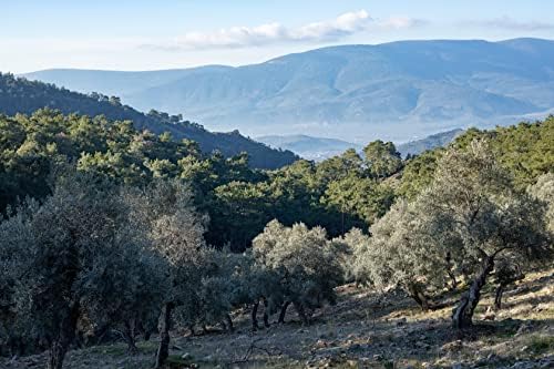 Funoli, KIDS, Premium, Organik, Çocuk, Özel Natürel Sızma Zeytinyağı, Yüksek E Vitamini, Polifenol, 250 ml.