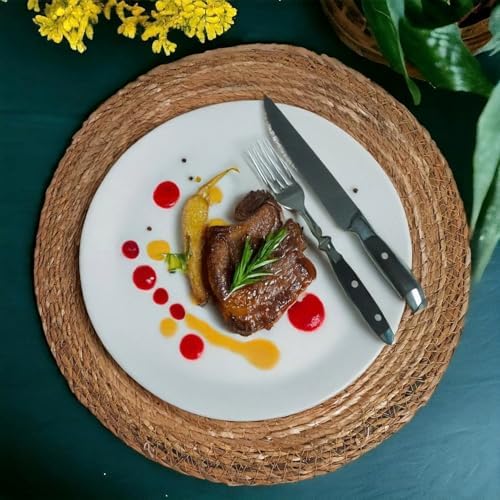 51y0gCpw8hL._AC_SL1500_