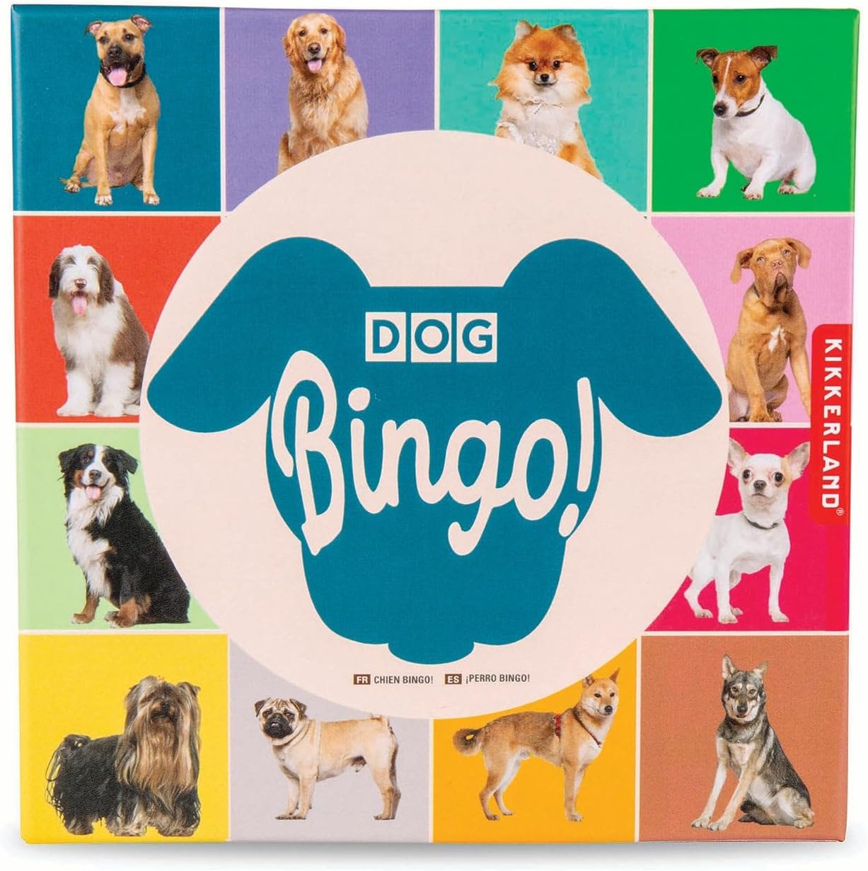 Bingo Köpek