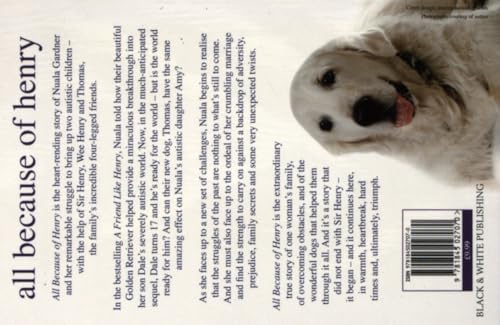 All Because of Henry