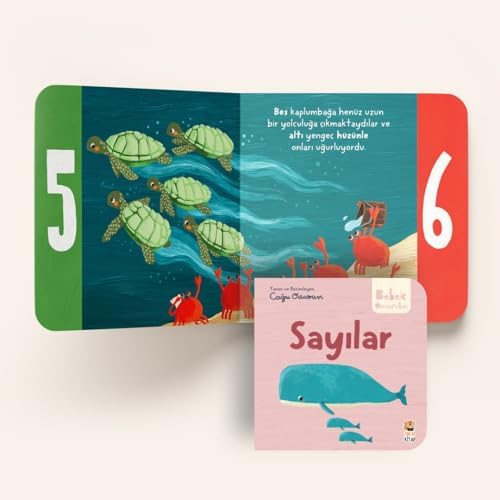 Bebek Üniversitesi: Hikayeli İlk Kavramlarım - 4 Kitap Takım