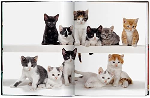 Walter Chandoha. Cats. Photographs 1942-2018