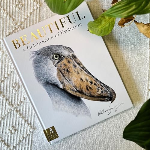 Beautiful: A Celebration of Evolution