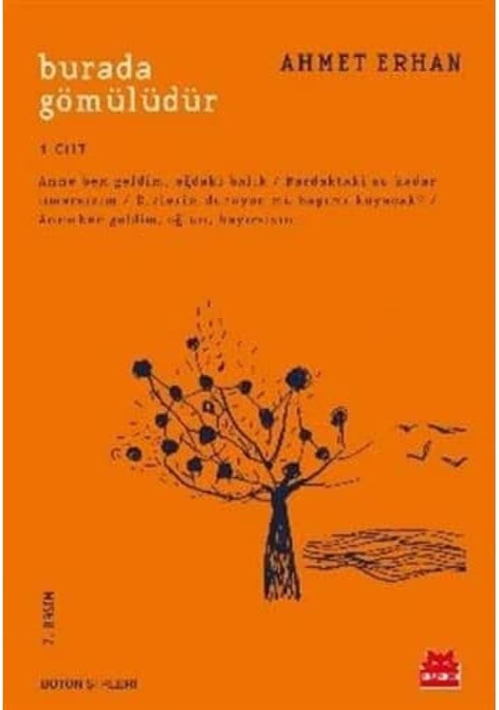 Burada Gömülüdür 1. Cilt: Bütün Şiirleri