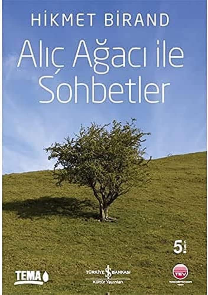 ALIÇ AĞACI İLE SOHETLER