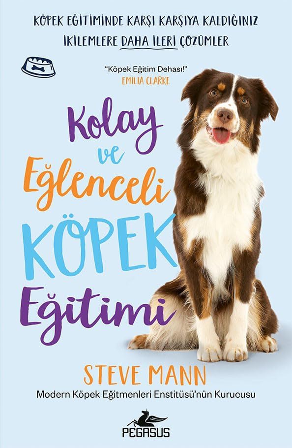 Kolay ve Eğlenceli Köpek Eğitimi: Köpek Eğitiminde Karşı Karşıya Kaldığınız İkilemlere Daha İleri Çözümler