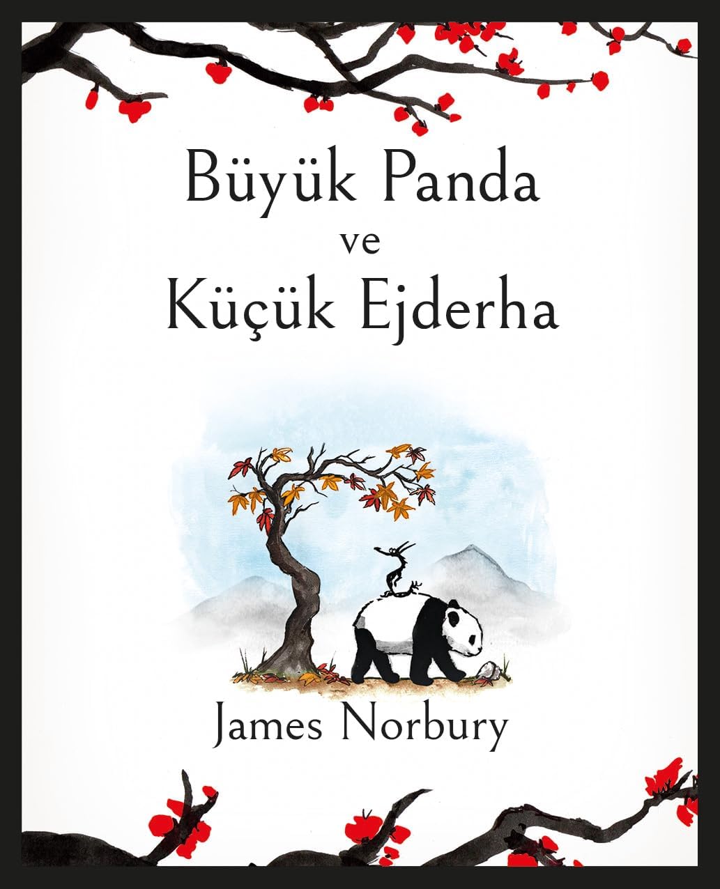 Büyük Panda ve Küçük Ejderha (Ciltli)