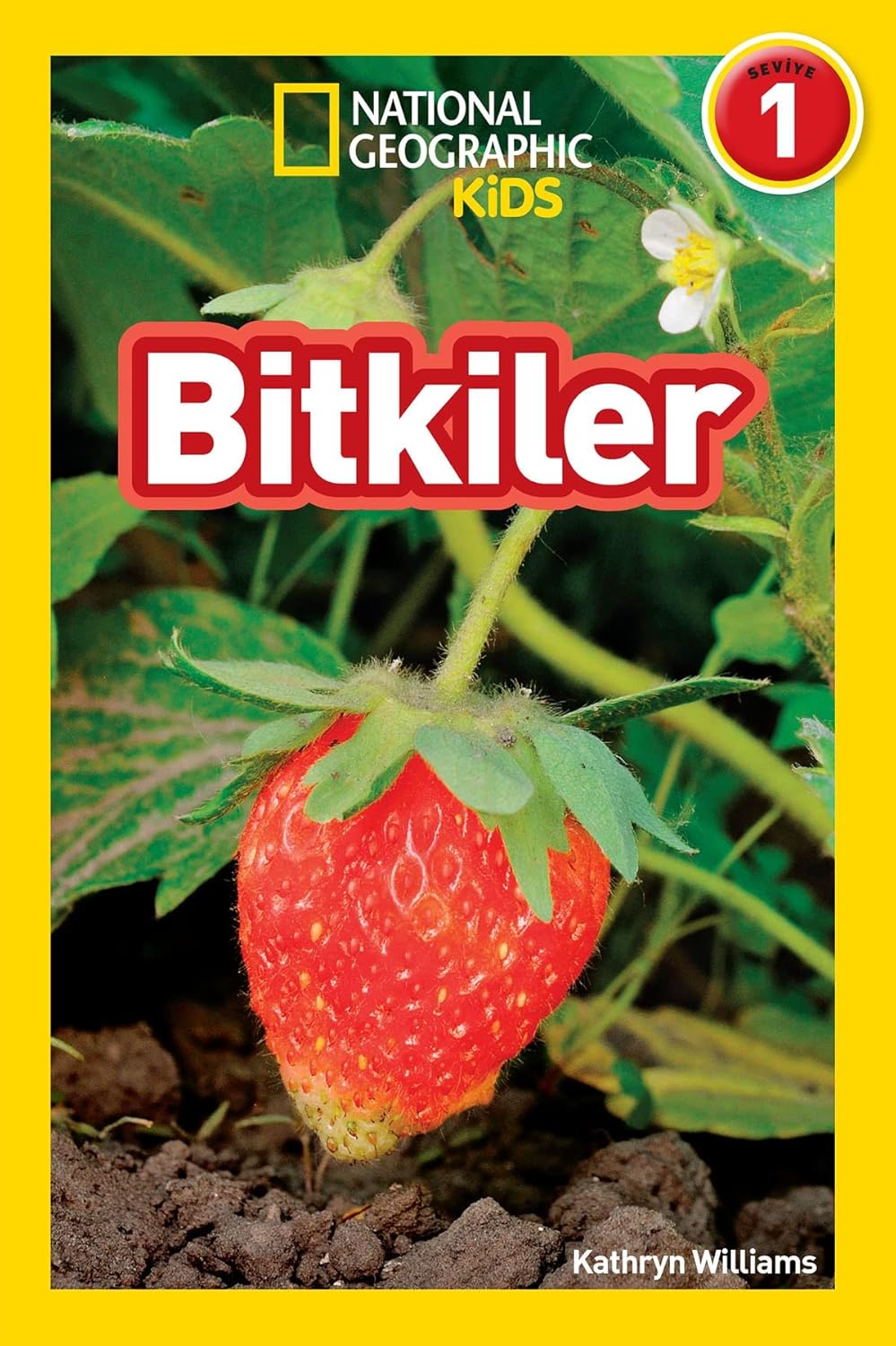 Bitkiler (Kapak Değişebilir)