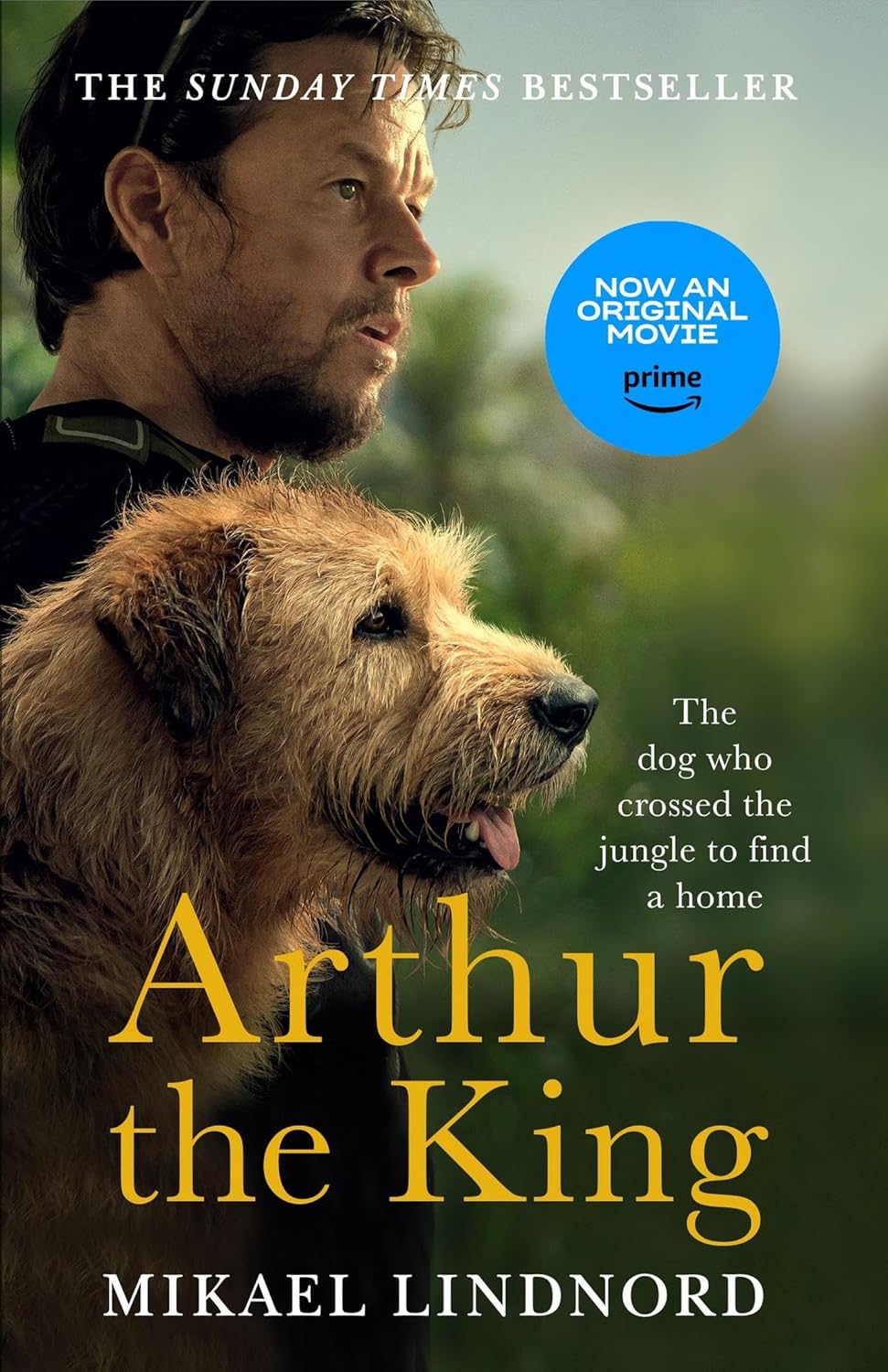 Arthur: The dog who crossed the jungle to find a home *SOON TO BE A MAJOR MOVIE 'ARTHUR THE KING' STARRING MARK WAHLBERG*: The dog who crossed the jungle to find a home *WATCH NOW ON AMAZON PRIME*