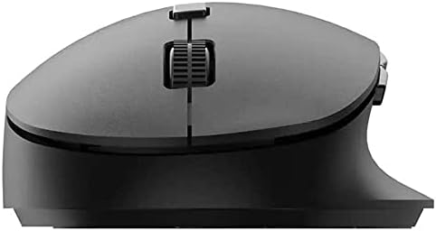 311x49DIJ7L._AC_SL1500_-1