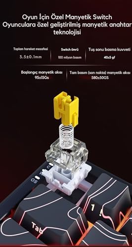 41mzti0AxFL._AC_SL1500_-1